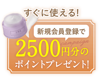 すぐに使える! 新規会員登録で2500円分のポイントプレゼント! 2025/3/31まで