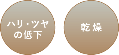 ハリ・ツヤの低下 乾燥