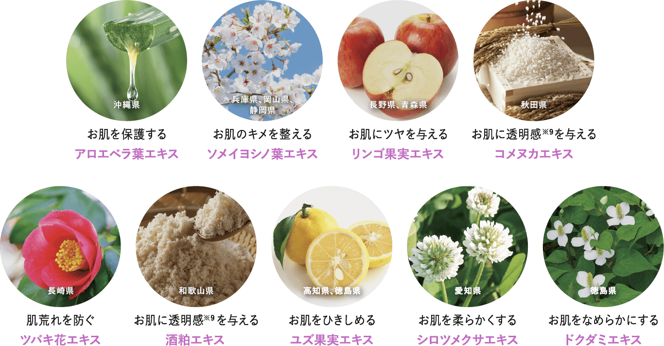 お肌を保護するアロエベラ葉エキス:沖縄県 お肌のキメを整えるソメイヨシノ葉エキス:兵庫県、岡山県、静岡県 お肌にツヤを与えるリンゴ果実エキス:長野県、青森県 お肌に透明感※9を与えるコメヌカエキス:秋田県 肌荒れを防ぐツバキ花エキス:長崎県 お肌に透明感を与える※9酒粕エキス:和歌山県 お肌をひきしめるユズ果実エキス:高知県、徳島県 お肌を柔らかくするシロツメクサエキス:愛知県 お肌をなめらかにするドクダミエキス:徳島県